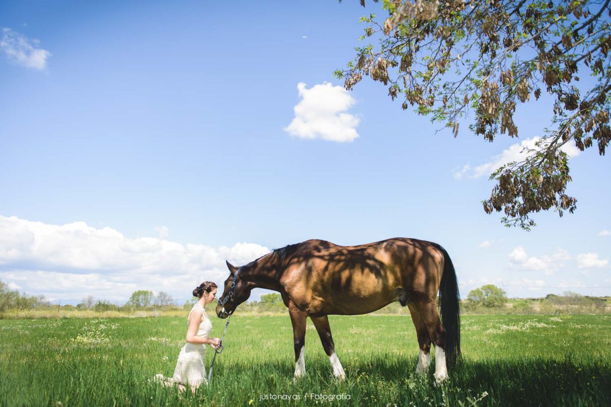 postboda con caballos brunete