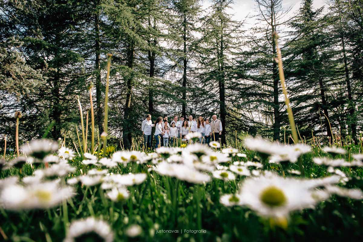 Fotógrafo familias e infantil Madrid