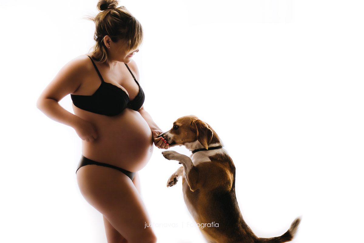 fotos de embarazo con mascota justo navas fotografia fotos de embarazo creativas