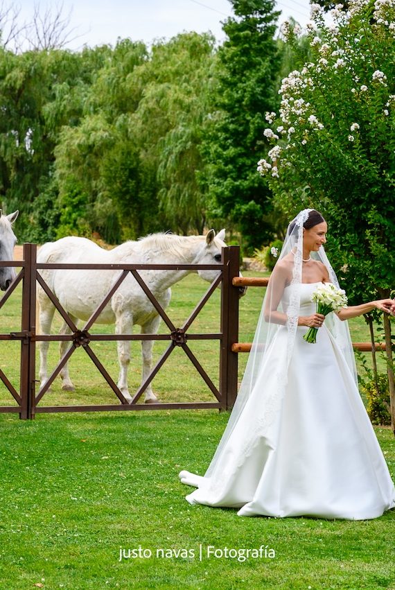 Boda Fabrica de Harinas, Torremocha del Jarama
